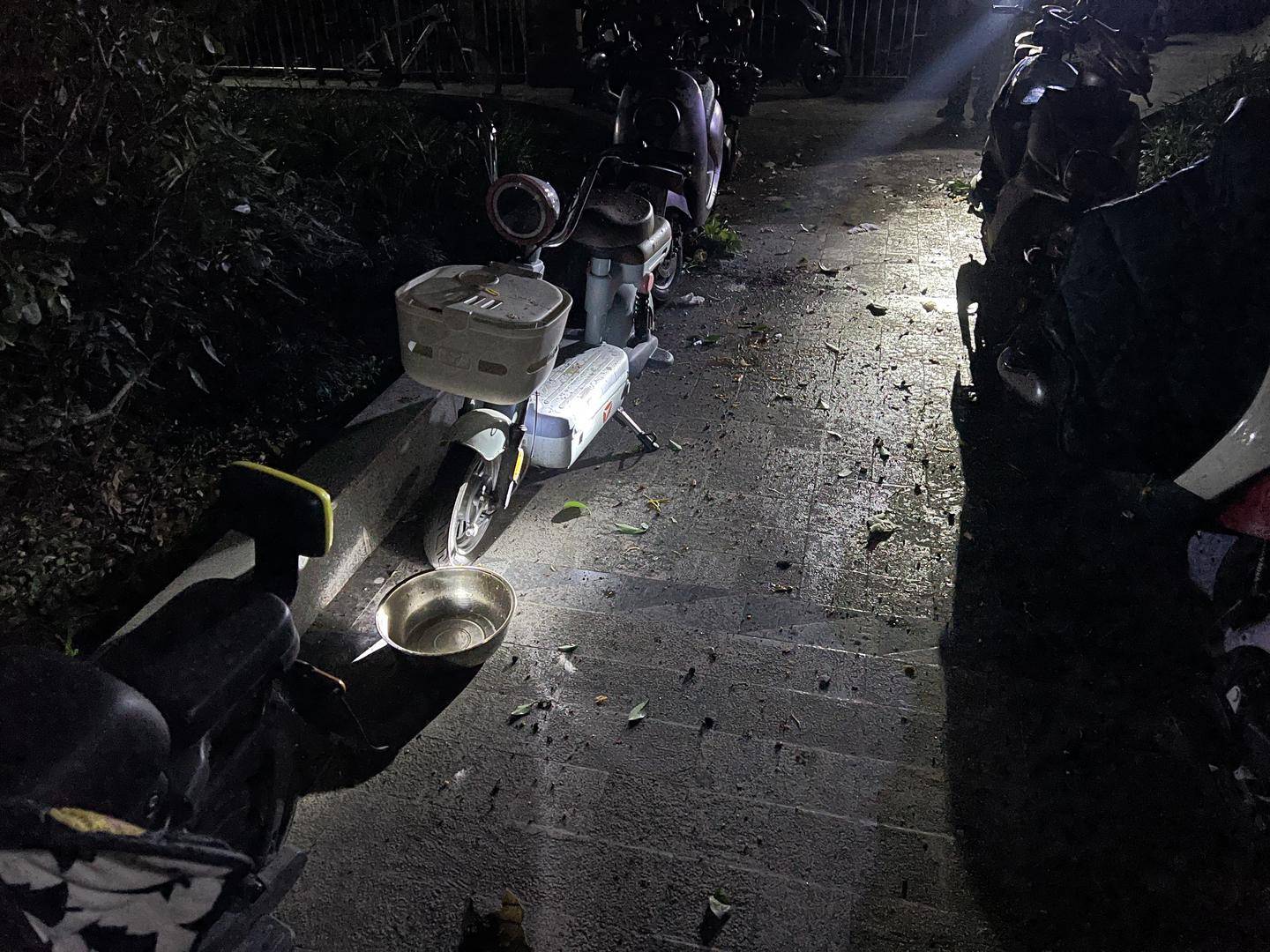 怎么开皇冠信用盘_男子与朋友吃酒起争执怎么开皇冠信用盘，竟从10楼扔下绿萝、兰花和不锈钢盆，被刑拘