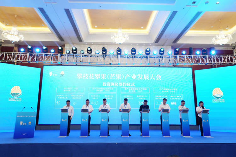 皇冠会员如何申请
_项目投资总额近15亿元 攀枝花攀果(芒果)产业发展大会在盐边举行