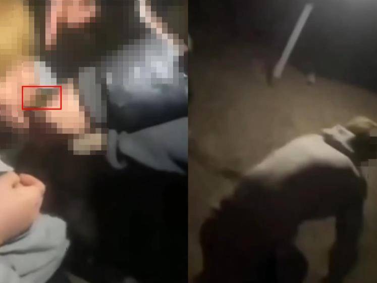 皇冠信用網登3代理_16岁男生遭多人欺辱殴打皇冠信用網登3代理，被逼跪地爬行学狗叫，警方：社会青年之间矛盾引起，已立案调查