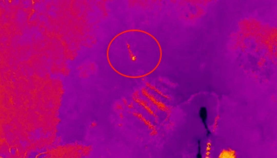 皇冠信用網需要押金吗_“找到了皇冠信用網需要押金吗！有生命体征！”