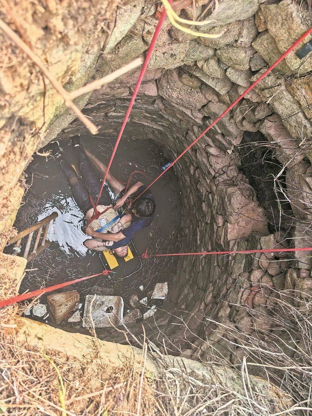 皇冠信用网注册_泉州坠井女子“54小时噩梦”：几条蛇爬身上皇冠信用网注册，双侧肋骨骨折！绝望时靠一个信念坚持活下来……