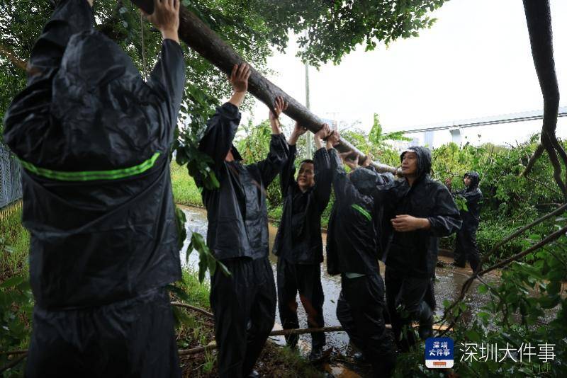 皇冠信用網哪里申请_从“山竹”开始皇冠信用網哪里申请,深圳这家企业每遇台风都组织员工排险清障