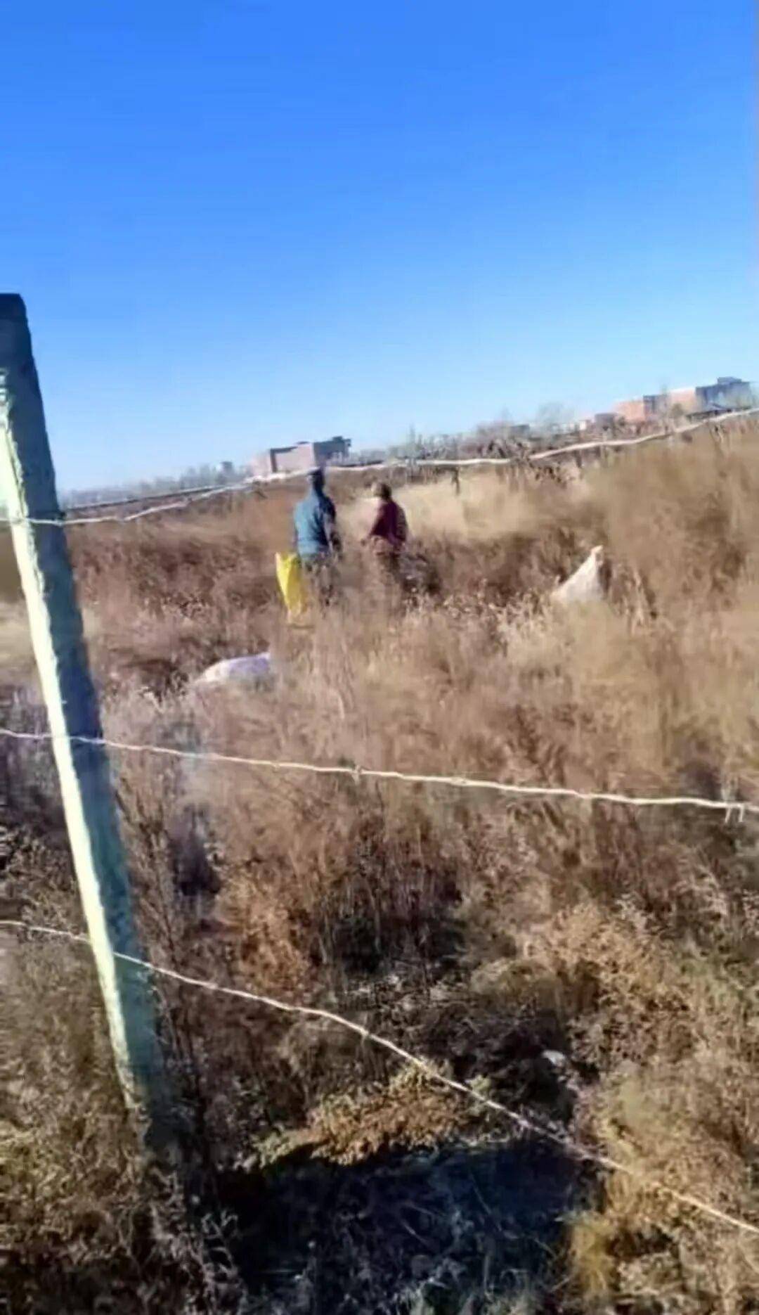 信用网怎么开户_百亩向日葵遭村民哄抢信用网怎么开户，损失50万元！警方已行拘4人