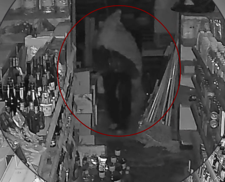 皇冠2登录welcome
_青岛某超市凌晨突然出现神秘黑影皇冠2登录welcome
,披着烂麻袋低着头,当他终于转过脸来,警察都气笑了