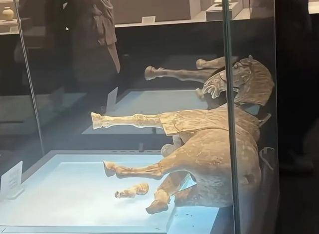 皇冠信用网平台
_唐代彩绘陶马倾倒皇冠信用网平台
,洛阳博物馆回应!